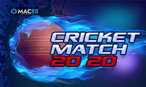 CRICKET MATCH 2020